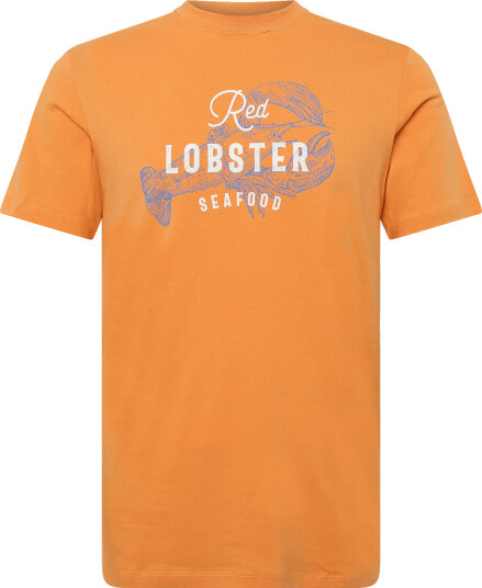 Blend Bhkristoff Graphic S/S Tee Orange XL