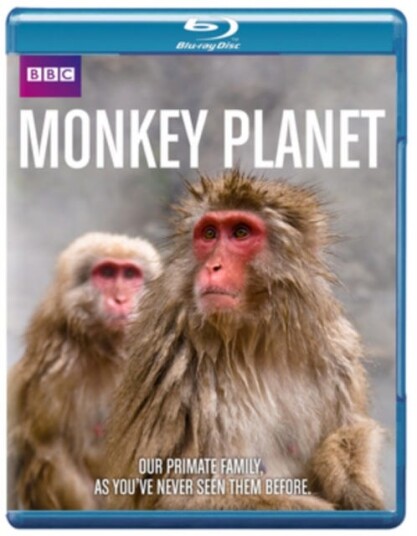 Monkey Planet Monkey Planet