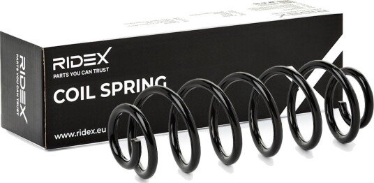 RIDEX 188C1569 Fjær
