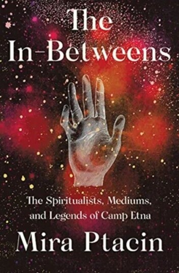 The In-Betweens Av Mira Ptacin