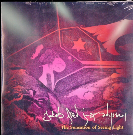 Sensation Of Seeing Light (x2)