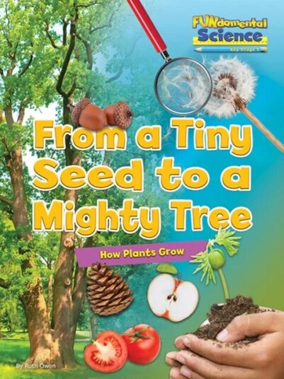 From A Tiny Seed To A Mighty Tree Av Ruth Owen From A Tiny Seed To A Mighty Tree Av Ruth Owen