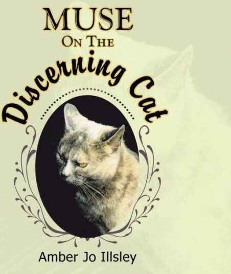 Muse On The Discerning Cat Muse On The Discerning Cat