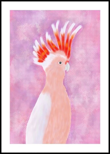Pink Cocatoo Bird Plakat Plakat / 21x30cm