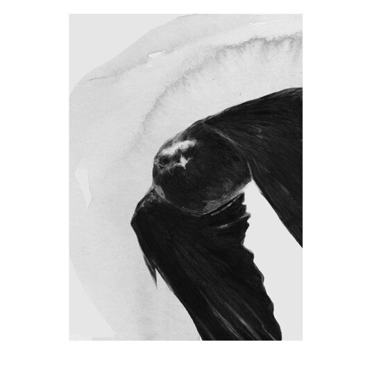 Anna Bülow Anna Bülow poster Flight 50x70 cm