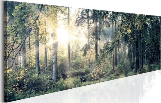 Tavle Morning Magic 120X40 Artgeist sp. z o. o.