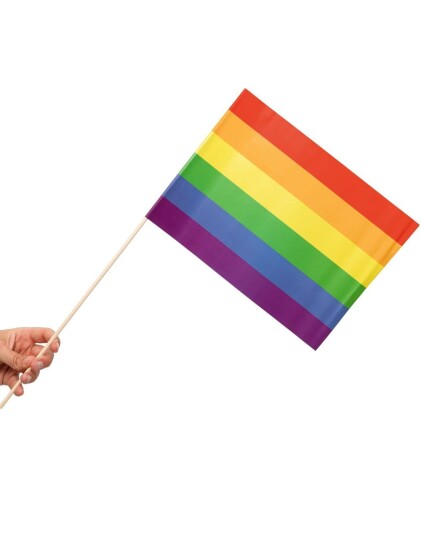 10 stk Regnbue Pride Papirhåndflagg 20x30 cm