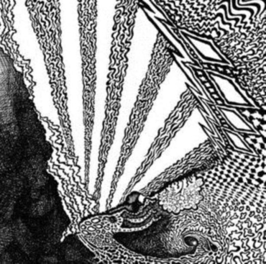 White Hills, Gnod  Aquarian Downer  LP/Vinyl
