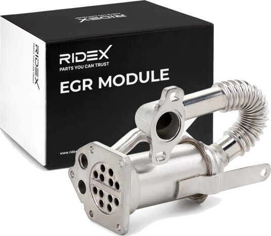 RIDEX 4198E0218 EGR-modul