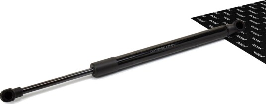 RIDEX 219G0105 Baklukedemper