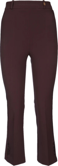Elisabetta Franchi Dame Bukser Brun L,