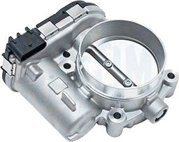 Gasspjeld MAGNETI MARELLI 802000000188