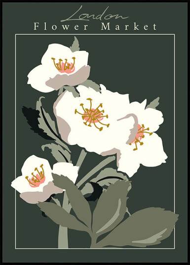Flower Market London Hellebore Plakat Plakat / 70x100cm