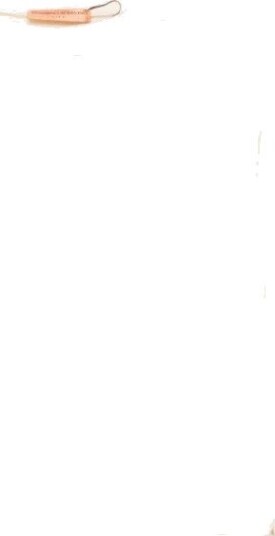 Ermanno Scervino Dame Gensere & Hettegensere Hvit M,