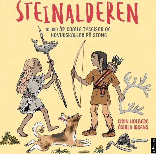Steinalderen Av Eirin Holberg