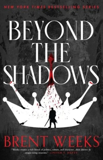 Beyond The Shadows Av Brent Weeks