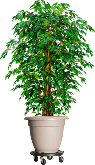 vidaXL Plantetraller med hjul 40 cm diameter svart 275 kg vidaXL Plantetraller med hjul 40 cm diameter svart 275 kg