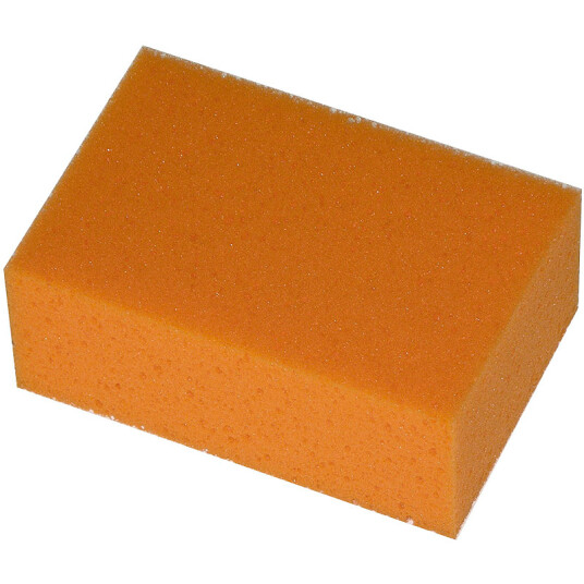 SVAMP ORANGE SVAMP ORANGE
