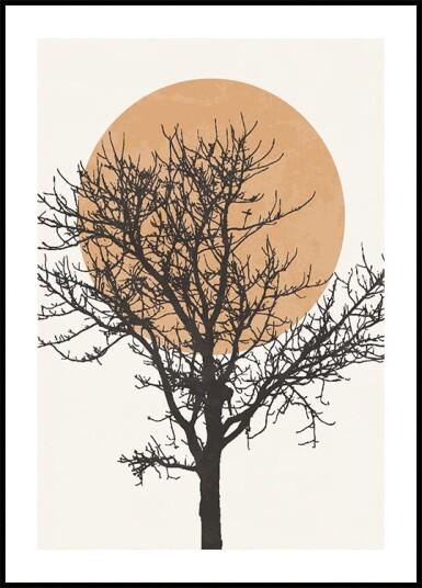 Tree Silhouette and Sun Plakat Plakat / 40x50cm