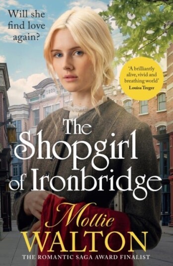 The Shopgirl of Ironbridge The Shopgirl of Ironbridge
