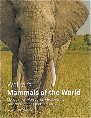 Walker'S Mammals Of The World Av Ronald M. Nowak