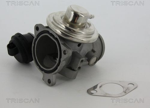 EGR ventil TRISCAN 8813 29057