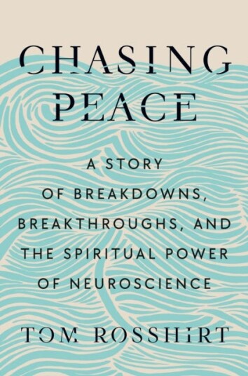 Chasing Peace A Story of Breakdowns, Breakthroughs, and the Spiritual Power of Neuroscience