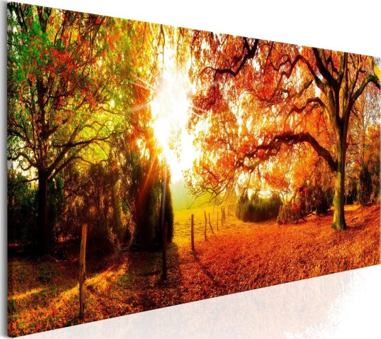 Tavle Magic Of Autumn 120X40 Artgeist sp. z o. o.