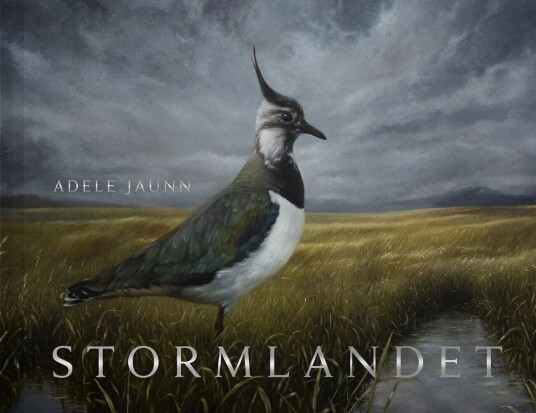 Stormlandet Av Adele Jaunn