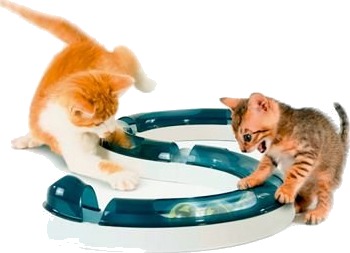 Catit Design Senses Play Circuit 1 Stk