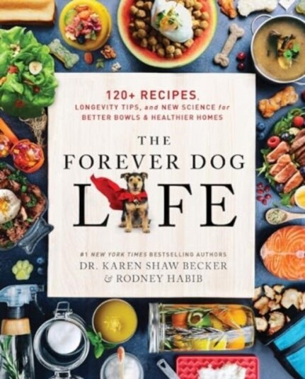 The Forever Dog Life The Forever Dog Life