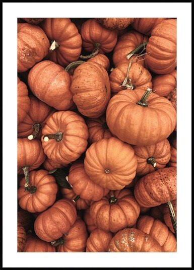 Warm Autumn Pumpkins Plakat Plakat / 70x100cm
