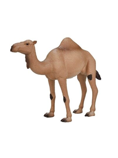 Mojo Wildlife Arabian Camel   387113