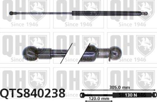 QUINTON HAZELL QTS840238 Baklukedemper
