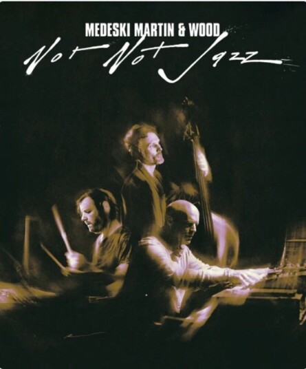 Not Not Jazz DVD Not Not Jazz DVD
