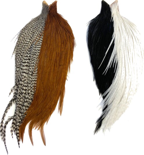 Whiting Intro Hackle Pack 4 Halve Nakker