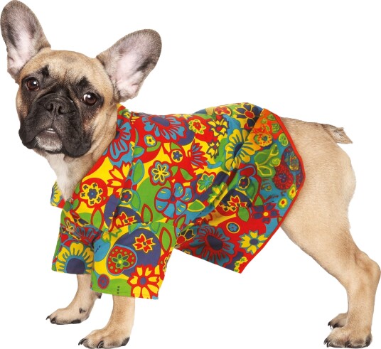 Espa Hawaii kostyme for hund Small P72422_S