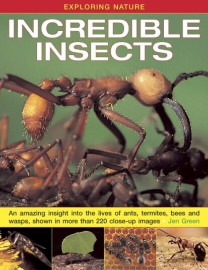 Exploring Nature: Incredible Insects Av Dr Jen Green