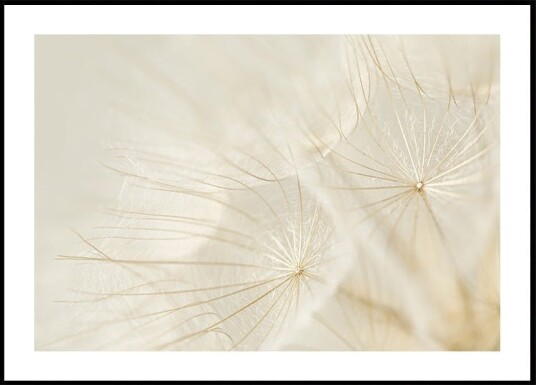 Elusive Plakat Plakat / 21x30cm Elusive Plakat Plakat / 21x30cm