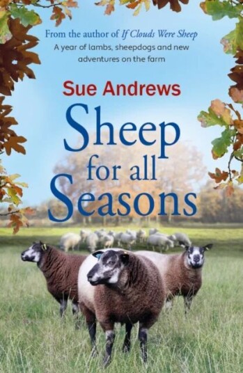 Sheep For All Seasons Av Sue Andrews