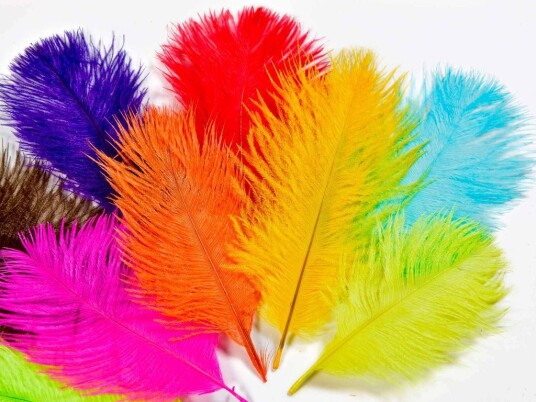 Frodin Flies Frödin Ostrich Body Feather Pack 10 Farger 100 Fjær