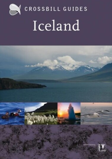 Iceland Av Andy Jones