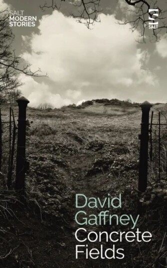 Concrete Fields Av David Gaffney