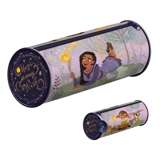 Disney Pennal Wish Disney Pennal Wish