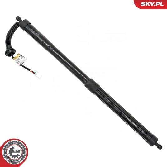 Elektromotor bakluke ESEN SKV 52SKV295