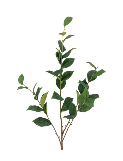 Bloomingville Eucalyptus Stem Green H110CM Bloomingville Eucalyptus Stem Green H110CM