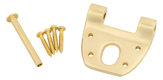 Bigsby Extra Short Hinge W/hinge Pin And Screws, Gold Bigsby Extra Short Hinge W/hinge Pin And Screws, Gold