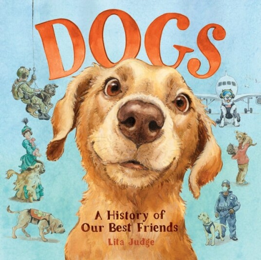 Dogs Dogs