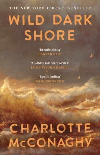 Wild Dark Shore Wild Dark Shore
