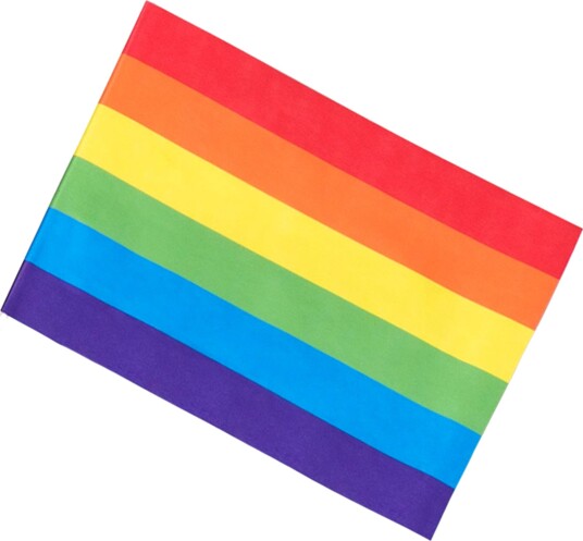 Boland Party Partners Pride Håndflagg av Papir 6-pakning 44735